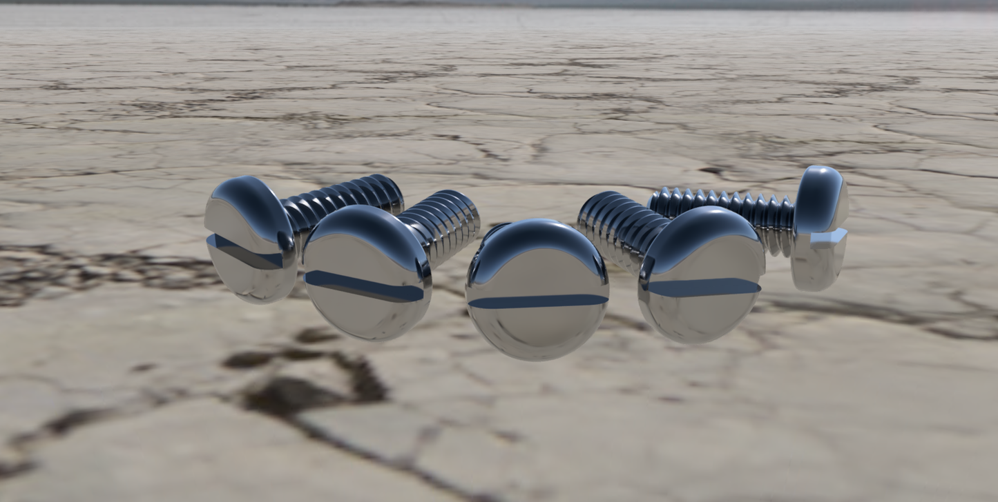 Spare Faceplate Screws